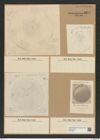 Coscinodiscus leptopus Grun. (de-Toni-Nr.: Genus 202, Species 4908) Zeichnungen Sammlung Grunow Nr. 8671 (NHMW-BOT-W0378081)